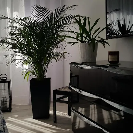 I Apartment